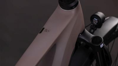 Cube Kathmandu Hybrid EXC 800 cedar'n'chrome Gr&ouml;&szlig;e: 58 cm Produktbild 1