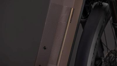 Cube Kathmandu Hybrid EXC 800 cedar'n'chrome Gr&ouml;&szlig;e: Easy Entry 58 cm Produktbild 3